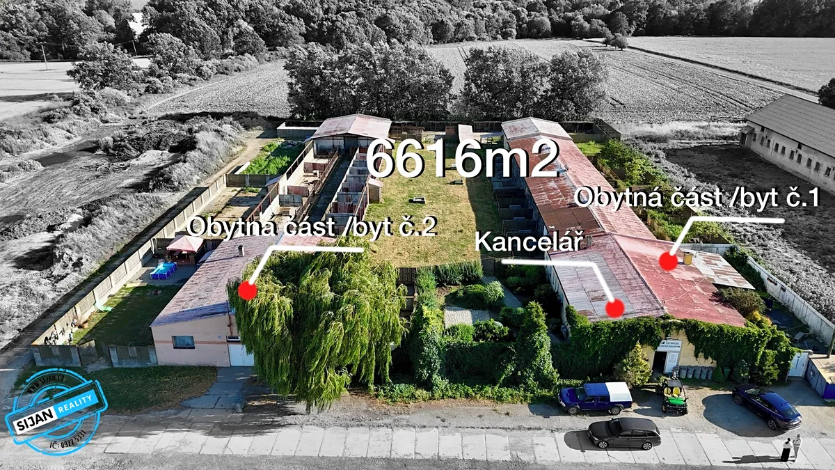 Fotka 2 z 13